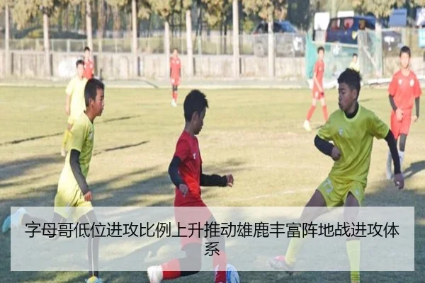 字母哥低位进攻比例上升推动雄鹿丰富阵地战进攻体系